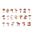 thumbnail image 1 of CAROOTU Sticker Scrapbooking Supplies Beautiful Adhesive Decorative Sticker For Gift Packaging Notebooks, 1 of 6