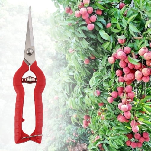 Plant pruning scissors garden cutter flower shears hand pruner tool DIY PiCHP 