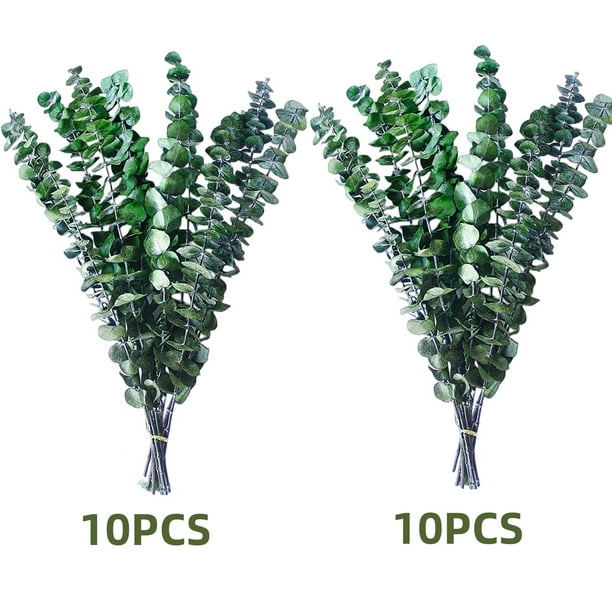 20Pcs Dried Eucalyptus for Shower, 17inch Natural Fresh Green