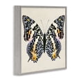 thumbnail image 3 of Stupell Industries Cottage Speckled Butterfly Sketch Gray Framed Giclee Art, 17 x 17, by Susan Arnot, 3 of 8