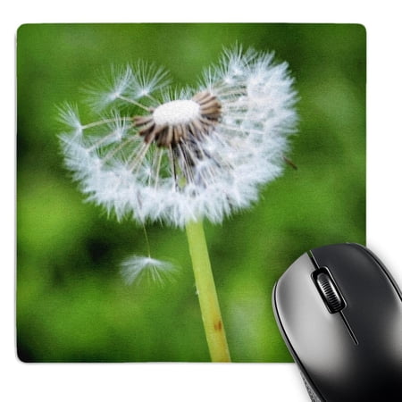 3dRose  Wishing - Spring Flower - Dandelion  MousePad price history on PriceWatchPro