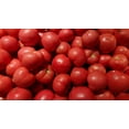 thumbnail image 2 of Floradade Tomato/ Annual/ Full Sun/ 40K Seeds 1/4lb/ Zellajake Farm and Garden - B204, 2 of 5