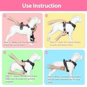 PoyPet No Pull Dog Harness,No Choke Reflective Dog Vest,Adjustable Soft Padded Pet Harness with Easy Control Handle for Small Medium Large Dogs,Pink M