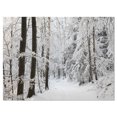 thumbnail image 2 of Dense Winter Forest and Lane - Large Forest Canvas Art Print, 2 of 3