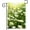 Multi2, variant on Spring White Field of Daisies Flowers Blooming Wildflowers Natural Landscape Garden Yard Flag 12"x 18" Double Sided Polyester Welcome House Flag Banners for Patio Lawn Outdoor Home Decor