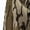 Mossy Oak, variant on MidwayUSA Men's Stealth Softshell Jacket Realtree Timber Large Tall