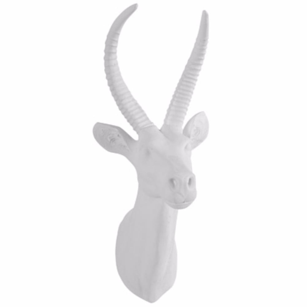 White Antelope Head, Classic White