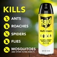 thumbnail image 3 of Raid Multi Insect Killer 7, Indoor & Outdoor Bug Spray, 15 oz, 3 of 15