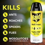 Raid Multi Insect Killer 7, Indoor & Outdoor Bug Spray, 15 oz