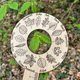 thumbnail image 4 of Buy 2 get 10% off Interesting Plant Encyclopedia Plant Identification Crafts Ruler, 4 of 5