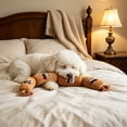 thumbnail image 5 of Squeaky Dog Toys | Dog Chew Toys for Small & Medium Dogs | Soft Furry Toys for Puppy Teething & Dental Care | Interactive Play & Pet Anxiety Relief, 5 of 9