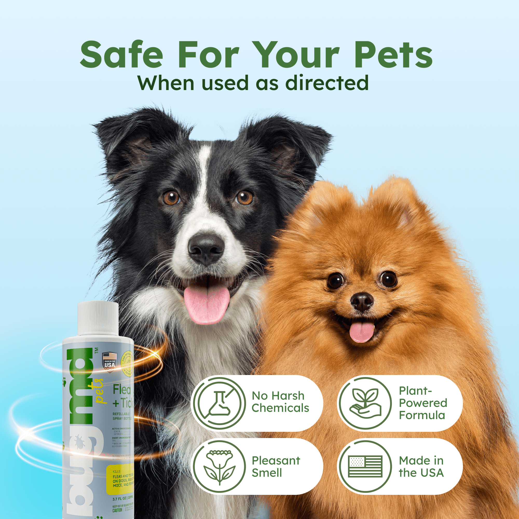 BUGMD Flea and Tick Concentrate (3.7 oz), Essential Oil-Powered Formula, Controls Fleas, Ticks, Mites in Dogs, and Other Furred Animals, Spray on Pet Beds, Kennels