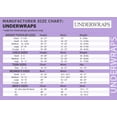 thumbnail image 4 of Underwraps The Princess Bride Deluxe Buttercup Womens Costume | Small Female, 4 of 4
