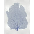 thumbnail image 2 of Miller, Melonie 15x18 Gold Ornate Wood Framed with Double Matting Museum Art Print Titled - Sea Fan Blue I, 2 of 4
