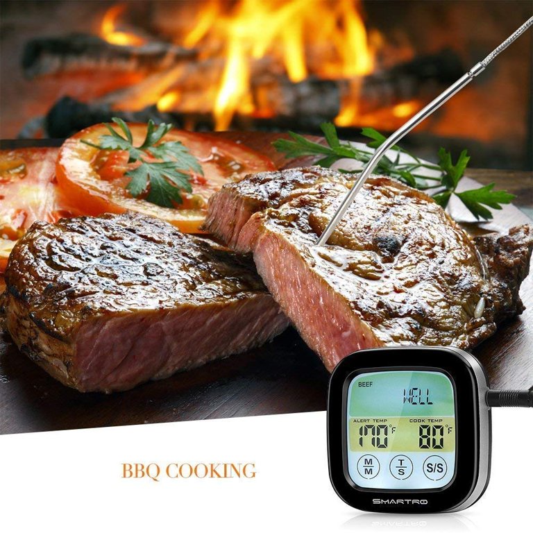  NEXMEE Bluetooth Grill Thermometer, Digital Wireless BBQ Meat  Thermometer, Grill Thermometer with 2 Probes, Roast Thermometer with Magnet  for Oven, Grill, Steak : Patio, Lawn & Garden