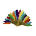 thumbnail image 4 of Tocado de plumas de jefe indio americano nativo para disfraz de Halloween Oro colorido, 4 of 9