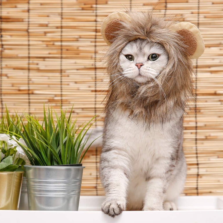 Lion Costumes For Cats lion-costumes-for-cats