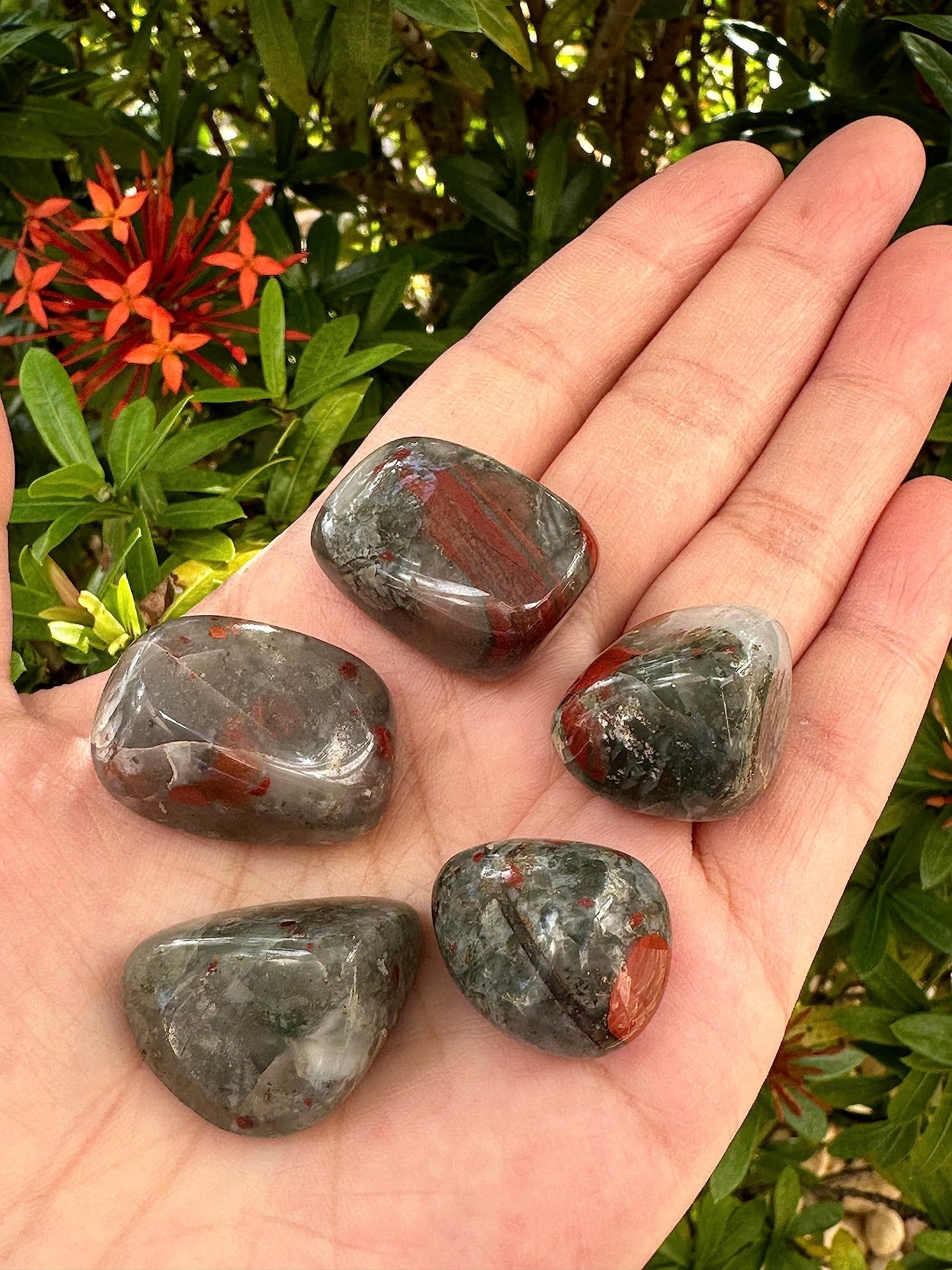 African Bloodstone Tumbled Stones, Polished African Bloodstone Gemstone, African Bloodstone Healing Crystals (African Bloodstone, 0.5 Pound)