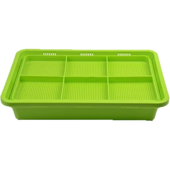 Double Layers Sprouting Tray Wheatgrass Grower DIY Sprout Maker Microgreens Sprouts Planter for Household Soilless
