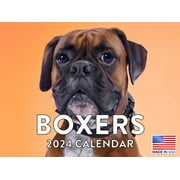 Boxer 2024 Calender Boxer Dog Gifts Wall Calendar Boxer Calendar 2024