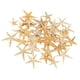 thumbnail image 1 of Semillas de playa Semillas de campanillas naturales Perfectas para la decoración de bodas Fiesta temática de playa, 2-3cm 50 piezas, 1 of 9