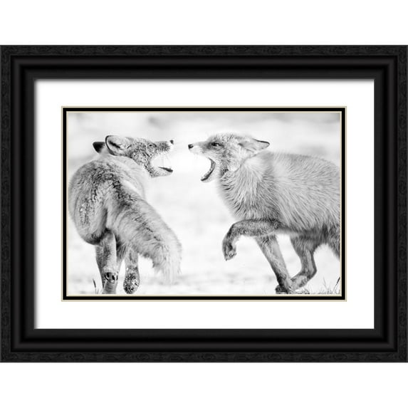 Itoyama, Eiji 32x23 Black Ornate Wood Framed with Double Matting Museum Art Print Titled - Winter dream 2