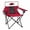 Arkansas Razorbacks, variant on NCAA Logo Brands Georgia Bulldogs Elite Chair