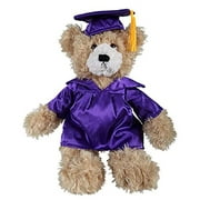 Beige Brandon Teddy Bear Plush Stuffed Animal Toys 12 inches  - Graduation Day Purple
