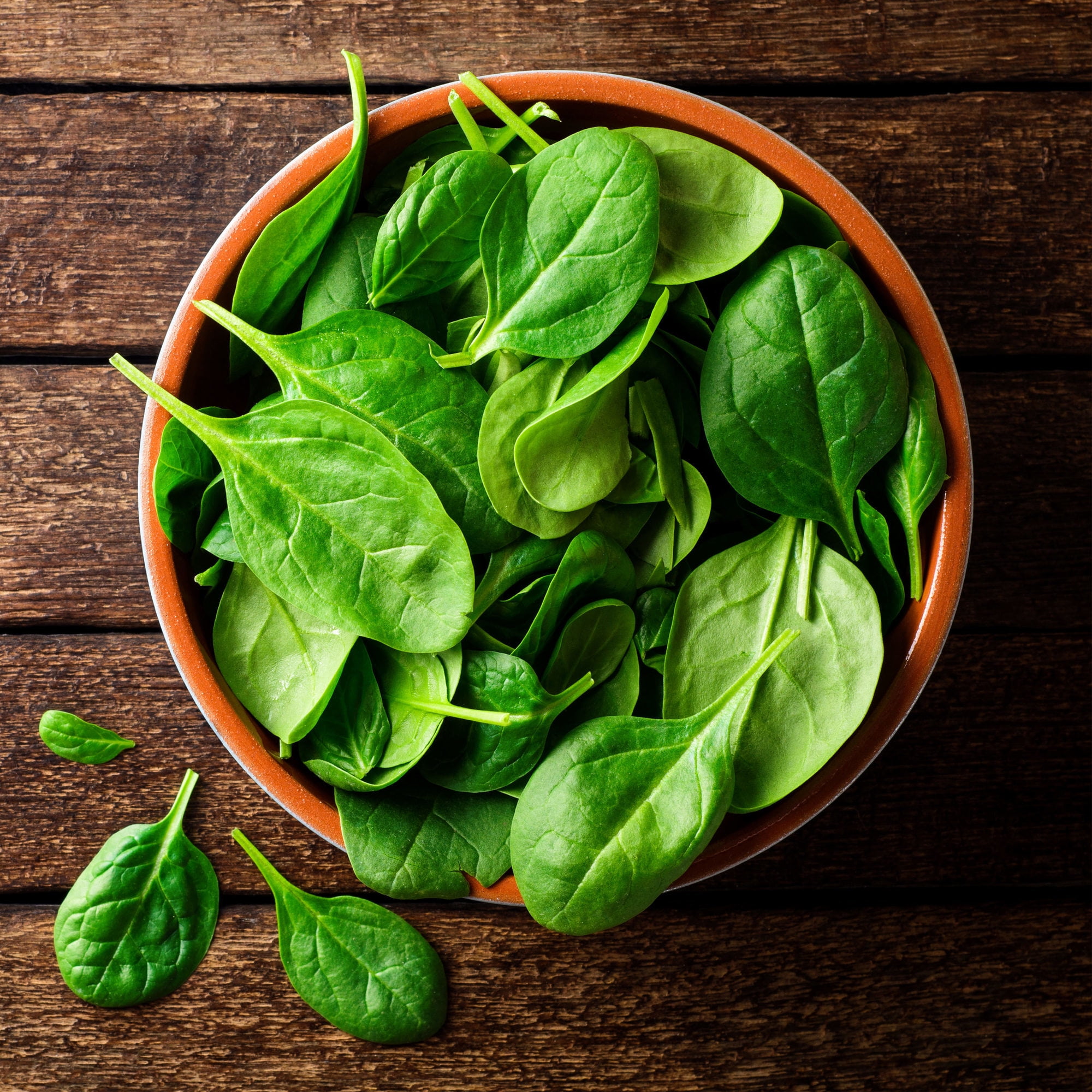 Bonnie Plants 12" Spinach Live Plants in 4" Grower Pots (2 Count)