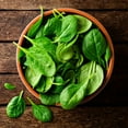 thumbnail image 6 of Bonnie Plants 12" Spinach Live Plants in 4" Grower Pots (2 Count), 6 of 13
