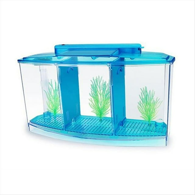 Mini Acuario de Cría, Acuario LED Acrílico de Divisiones, Caja de Aislamiento para Cría de Peces Pequeños, Color Azul.