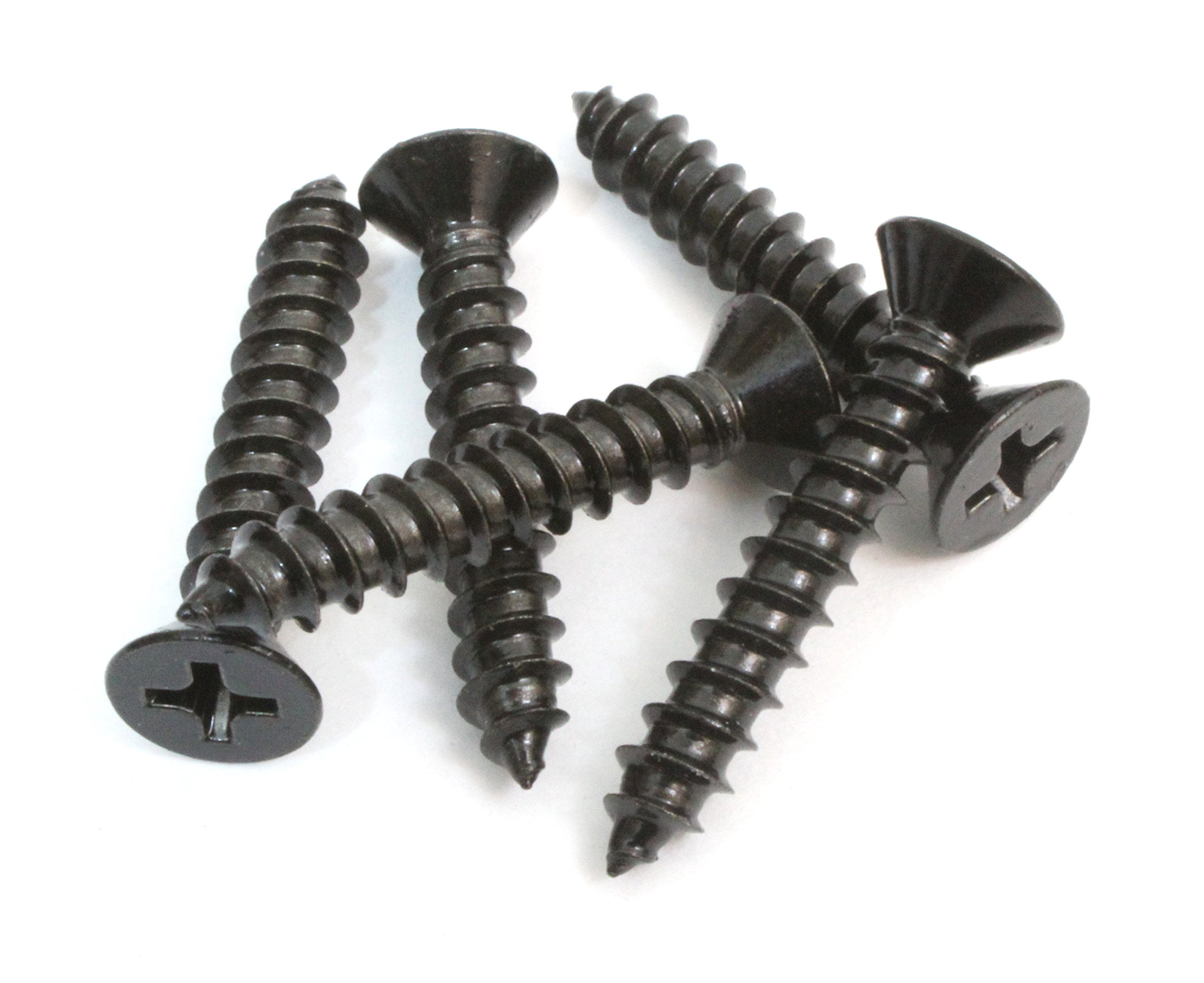 Viti Testa Ovale Phillips Acciaio Inox #6 1-1/4 (50 Pezzi) – East Coast Bolts