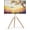White, variant on monTEK Artistic Easel TV Stand for 43–65 Inch TVs, 180° Swivel Floor TV Mount Up to 88 lbs, Tripod TV Stand with Cable Management, Max VESA 600x400mm, White