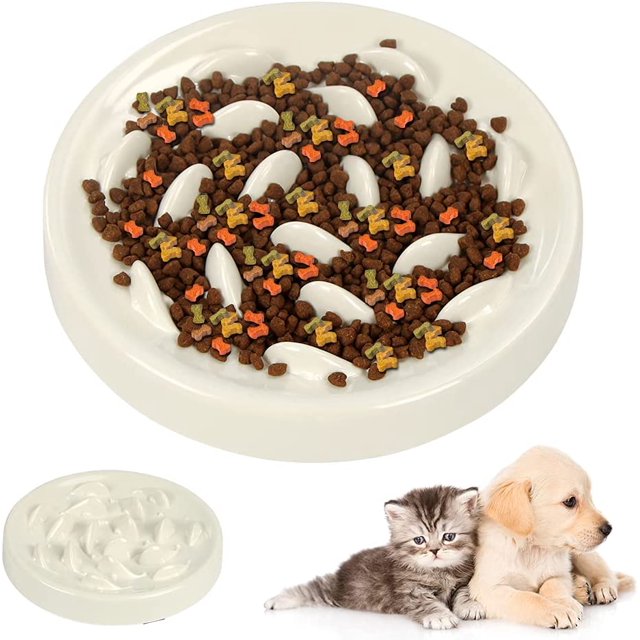 Tazón de gato anticorrupción, promueve una dieta saludable y una digestión lenta del blanco grande PenghuiLiu 9024719105499