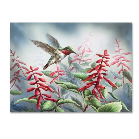 Debbie Mumm Bird - Trademark Fine Art 'Summer Hummingbird' Canvas Art by Wanda Mumm