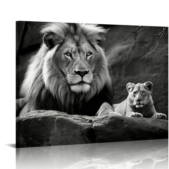 JRXY Lion and Lioness Canvas Wall Art Black and White Lion Poster Wild Animal Art Lion Wall Pictures African Lion Canvas Wall Art Modern Animal Pictures for Living Room Bedroom Office  20x16in