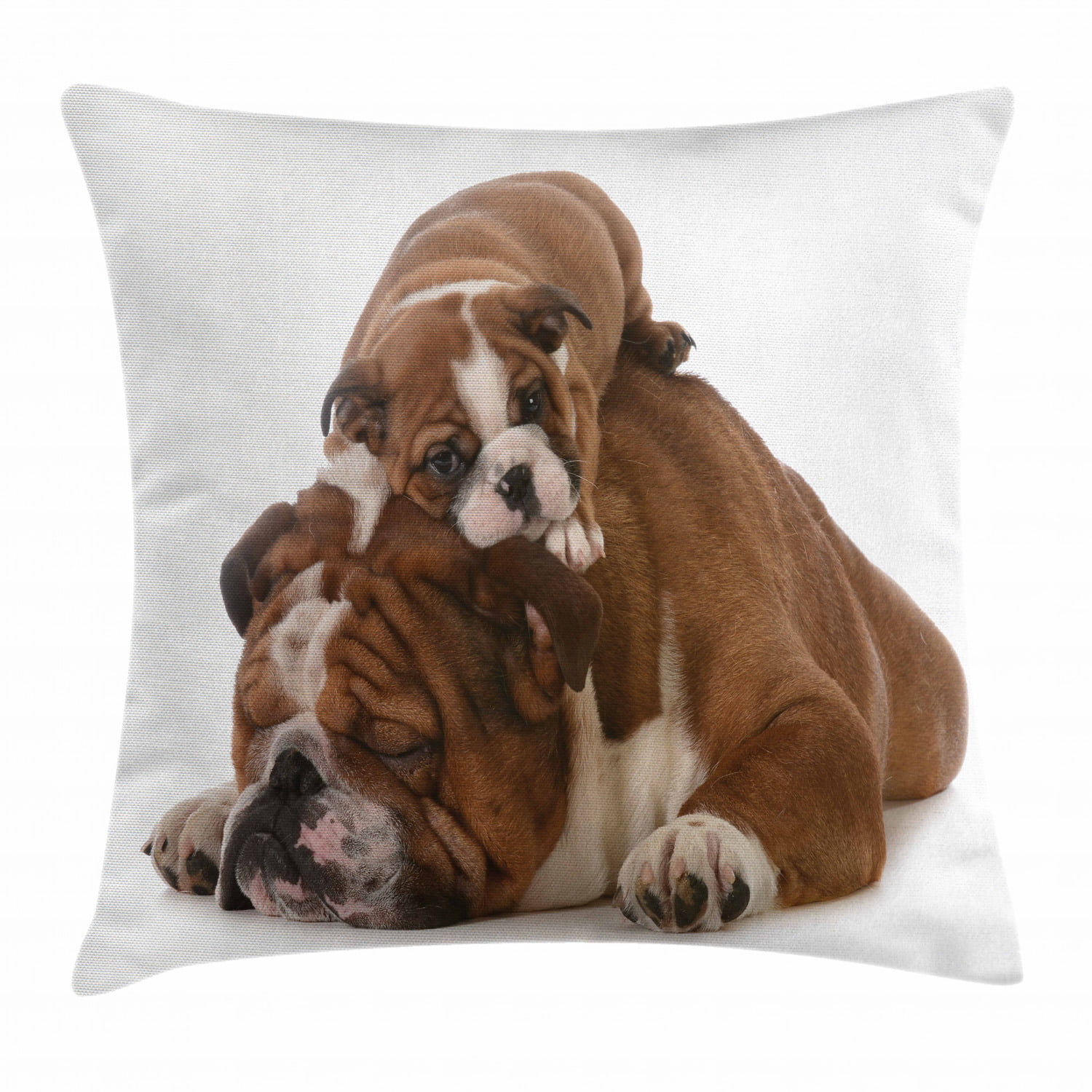 16x16 Multicolor Boxer Dog Designs Boxer Mom Dog Slogan Throw Pillow
