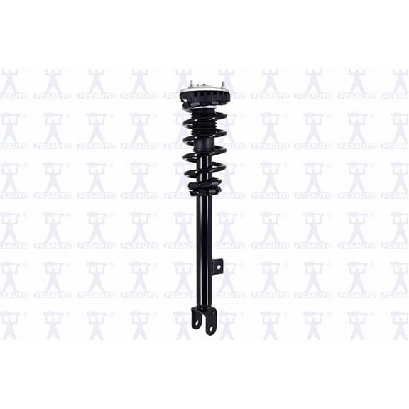 Suspension Strut and Coil Spring Assembly