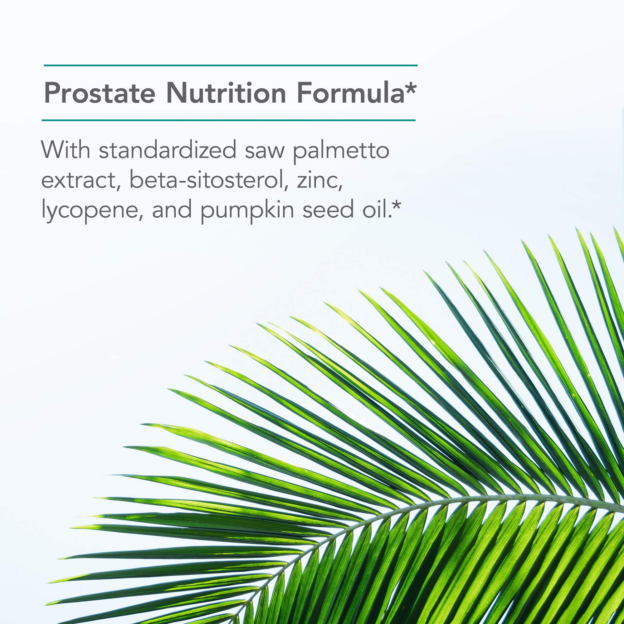 NutriCology Saw Palmetto Complex with Lyncopene - Saw Palmetto Supplement with Lycopene for Men - Prostate & Urinary Support - Hypoallergenic - 30 Servings - 60 Softgels