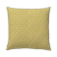 thumbnail image 1 of Ahgly Company Outdoor Square Contemporary Throw Pillow, 18 inch by 18 inch, 1 of 5