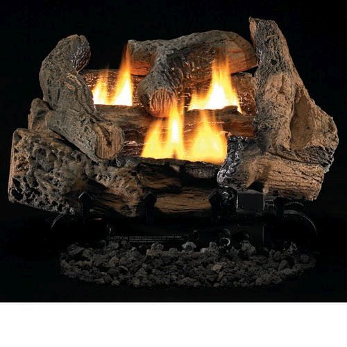 Tupelo 2 Vent Free 24" Gas Logs with Millivolt Control LP