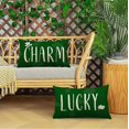thumbnail image 6 of St Patricks Day Throw Pillow Covers 12x20 Set of 4 Saint Patricks Day Pillow Covers Green Shamrock Clover Pillow Covers Cuchion Covers Pillow Cases for March Holiday Home Outdoor Decorations (12X20), 6 of 6