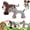 2pc D, variant on Linen Safari Companions, Linen Fabric Dog Toys, Squeaky Dog Chew Animals, Relieve Boredom and Anxiety in Dogs, for Small & Medium Dog (Monkey)