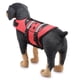 thumbnail image 2 of Chaleco salvavidas para perros Chaleco de natación rojo reflectante ajustable Traje de baño flotante para perros (Ladybug-M) ER, 2 of 5