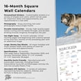 thumbnail image 5 of Magnificent Wolves | 2024 12x24" (Hanging) Wall Calendar | StarGifts, 5 of 9