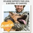 thumbnail image 6 of Nylabone Healthy Edibles All-Natural Long Lasting Chicken Flavor Dog Chew Treats 8 Count X-Small/Petite, 6 of 10