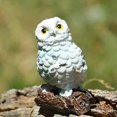 thumbnail image 4 of GROWTH TANK Décorations Décoratives Micro Paysage Mini Résine Hibou Ornements Jardin DIY Blanc Blanc B, 4 of 8