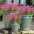 thumbnail image 2 of Zukuco 4 Bundles Tulips Artificial Flowers, Outdoor Artificial Tulip Faux Plastic Greenery Shrubs Plants UV Resistant for Home Outside Garden Porch Window Decor, Purple, 2 of 6