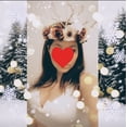 thumbnail image 4 of Cepillo para el cabello Frozen 2 Girls Snowflake Confetti plateado - Edades 3+, 4 of 5