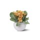 thumbnail image 1 of Pequeñas plantas de plástico artificiales Set Mini flores de imitación en maceta y hojas verdes UHUSE  plantas artificiales, 1 of 11